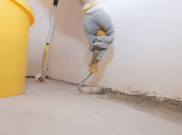 Best Termite Inspection and Treatment  in Elwood, IN